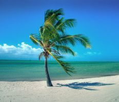 beach_14.jpg