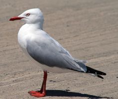 beach_25.jpg