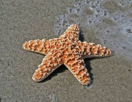 beach_31.jpg