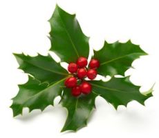 christmas_09.jpg