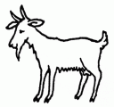 animals_07.gif