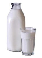 food_15.jpg