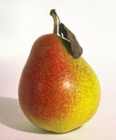 food_17.jpg