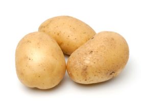 food_20.jpg