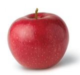 fruit_02.jpg