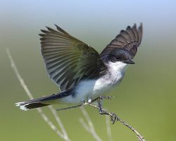 nature_03.jpg