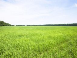 nature_05.jpg