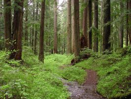 nature_07.jpg