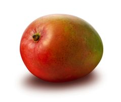 nature_08.jpg