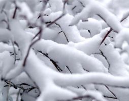 nature_22.jpg