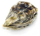 sea_13.jpg