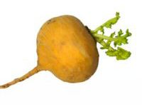 vegetable_03.jpg