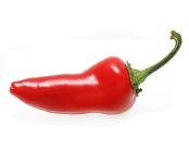 vegetable_04.jpg