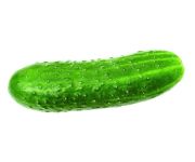 vegetable_05.jpg