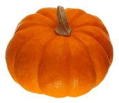 vegetable_06.jpg