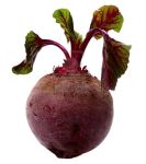 vegetable_07.jpg