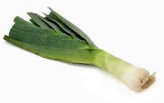 vegetable_08.jpg