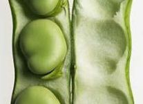 vegetable_10.jpg
