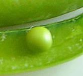 vegetable_12.jpg