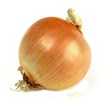 vegetable_13.jpg