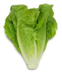 vegetable_14.jpg