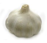 vegetable_15.jpg