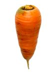 vegetable_18.jpg